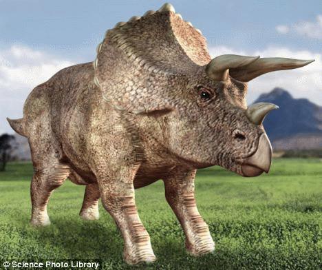 Khủng long ba sừng Triceratops chưa bao giờ tồn tại?