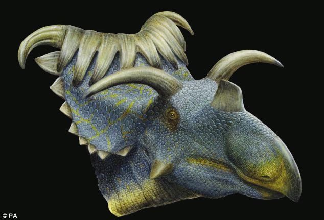 Phát hiện hóa thạch 2 loài khủng long có sừng mới