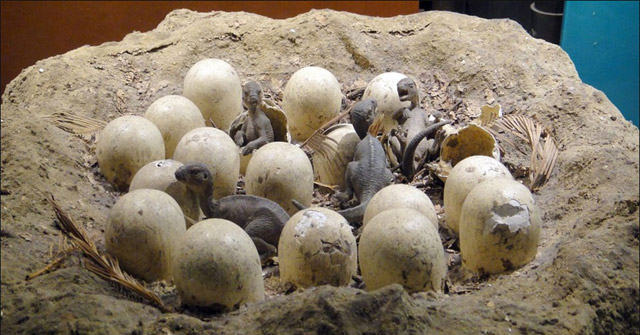 Phát hiện trứng khủng long trên mạch nước nóng