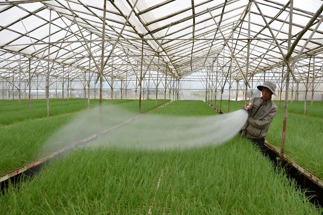 Ảnh 2: Nhờ áp dụng các tiến bộ khoa học – công nghệ, nhiều mô hình ứng dụng công nghệ cao đã được nhiều địa phương áp dụng mang lại hiệu quả kinh tế cao. Ảnh 2: Nhờ áp dụng các tiến bộ khoa học – công nghệ, nhiều mô hình ứng dụng công nghệ cao đã được nhiều địa phương áp dụng mang lại hiệu quả kinh tế cao.