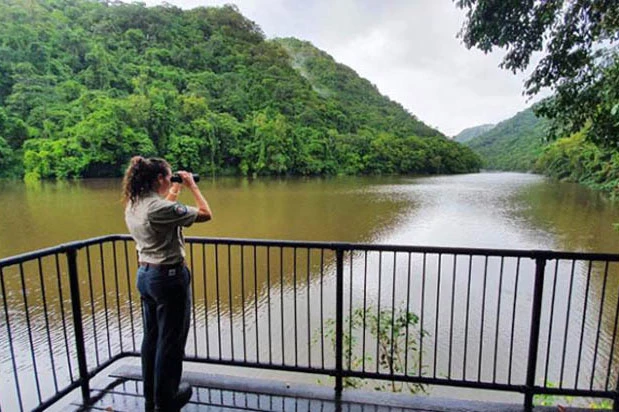 hân viên Sở Môi trường Queensland có mặt ở vùng nước mặn nơi người đàn ông bị cá sấu tấn công. Ảnh: CNN.