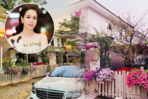 Biệt thự triệu đô của Nhật Kim Anh được trang hoàng rực rỡ đón Tết, cây mai 600 triệu đồng chiếm spotlight