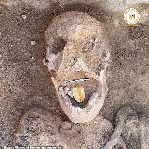 Phát hiện ngôi mộ đá 2.000 tuổi, các nhà khoa học tìm thấy chiếc lưỡi vàng sáng lấp lánh, bằng chứng của nghi lễ chôn cất kỳ quái - Ảnh 1.