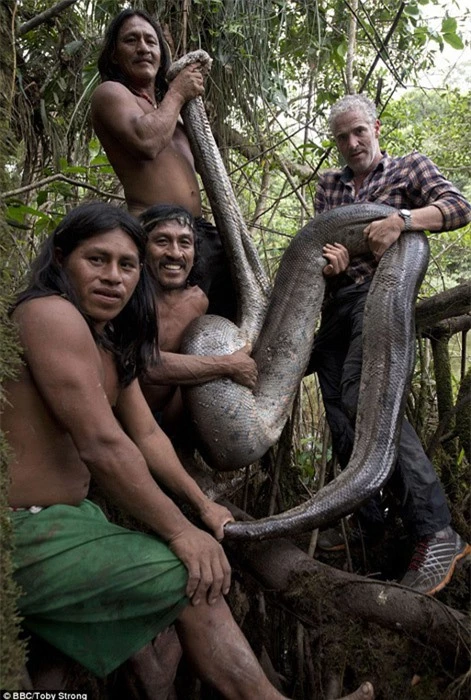 Trăn khủng 5,1m gây kinh hoàng rừng rậm Amazon