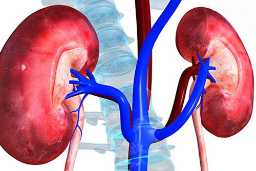 Người mắc bệnh thận nên và không nên ăn gì trong mâm cơm ngày Tết
