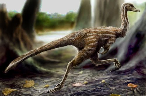 Phát hiện hóa thạch loài khủng long nhỏ nhất thế giới