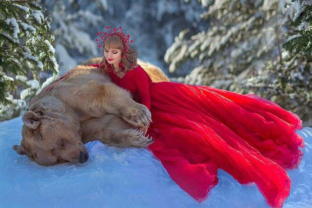 Gấu bị bỏ rơi trở thành mẫu ảnh chuyên nghiệp