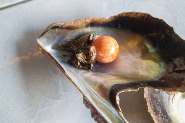 Ngư dân nhặt được viên ngọc trai hơn 342.000 USD