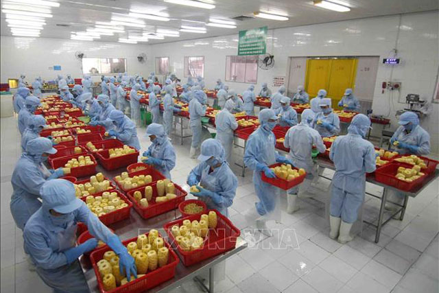 Phấn đấu xuất khẩu nông - lâm - thủy sản đạt 60 - 62 tỷ USD năm 2030