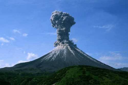 Loài người từng suýt tuyệt chủng với dân số chỉ còn 2.000 người