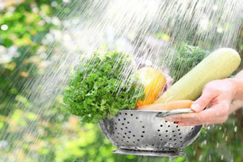 Cách rửa rau để loại bỏ thuốc trừ sâu gây hại