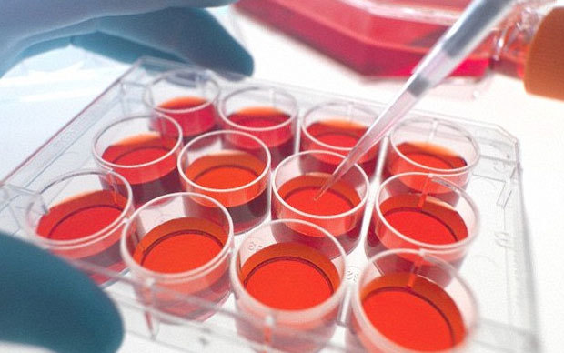 Con người sắp có thể mọc lại tay chân như kỳ nhông?