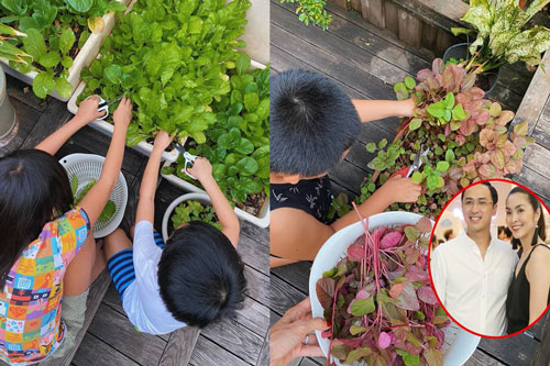 Tăng Thanh Hà khoe hai nhóc tỳ hào hứng thu hoạch rau xanh phụ mẹ trong biệt thự