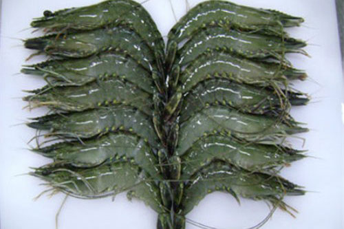 Cách chọn tôm tươi ngon, không hóa chất