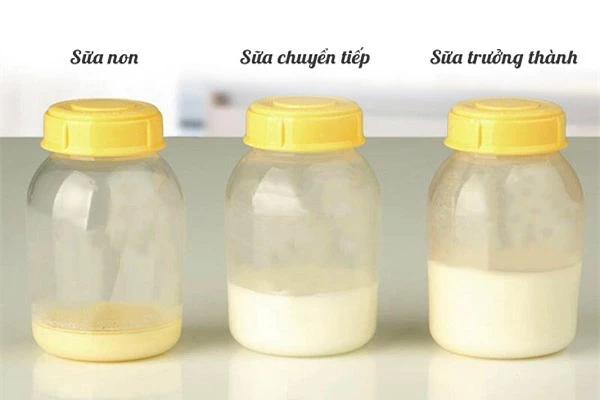 Sữa non là gì? Thành phần và lợi ích của sữa non có gì đặc biệt - Ảnh 2.