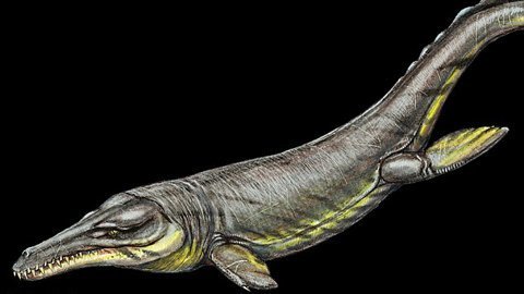 Cá sấu khổng lồ thống trị đại dương cổ đại