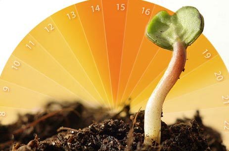 Những sự thật ít biết về khả năng sinh sản của con người