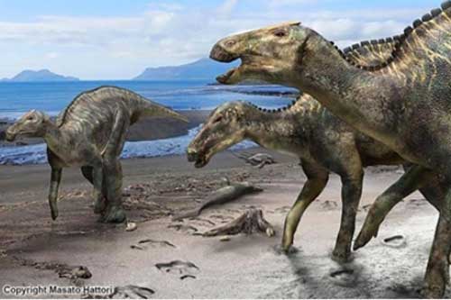 Tìm thấy loài khủng long lớn nhất lịch sử Nhật Bản