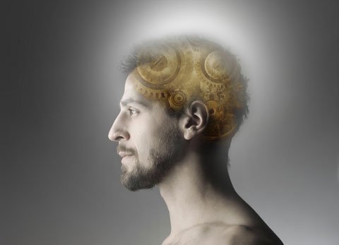 Một tế bào có thể gây lão hóa cả bộ não