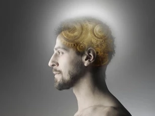 Một tế bào có thể gây lão hóa cả bộ não