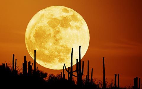 Trăng tròn ảnh hưởng xấu tới giấc ngủ