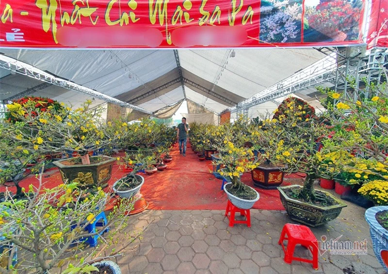 Phố bán hoa nhà giàu bậc nhất Hà Nội, một mùa ế ẩm, chợ tàn sớm