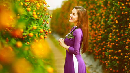 Thời tiết ngày 30 Tết các vùng trên cả nước