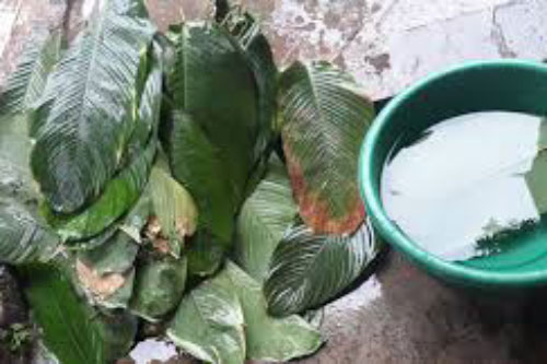 Vừa về ra mắt đã bị bạn trai sai rửa lá bánh để “quen dần bổn phận” nhưng lời tuyên bố thẳng thừng của cô lại khiến anh tím tái mặt mày