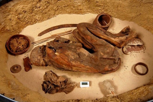Những bí mật về xác ướp 'già' hơn Pharaoh cả nghìn năm
