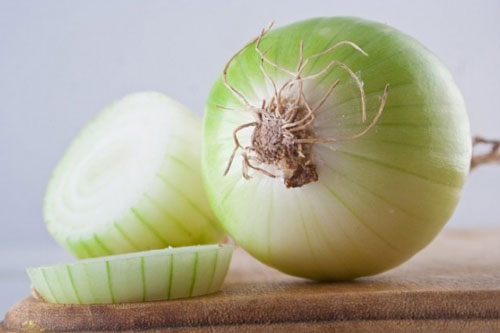 Bí quyết làm dịu vết cắn của côn trùng