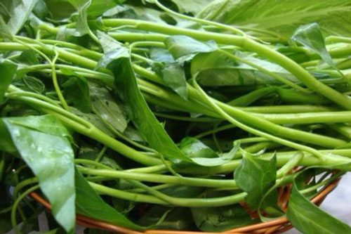Rau muống: Cực tốt và cực độc, biết mà tránh khi ăn kẻo 'rước họa vào thân'