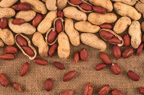 Những người tuyệt đối không nên ăn lạc