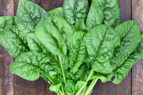 Những loại rau bổ dưỡng nhưng đem luộc chỉ còn... ăn bã