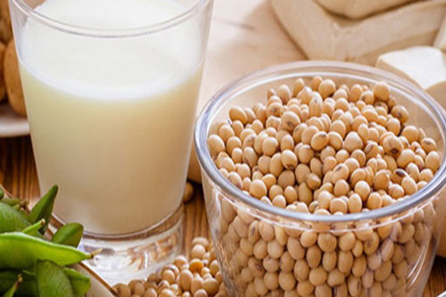 Bài thuốc chữa bệnh từ đậu tương