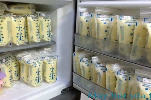 Bạn đã biết bảo quản sữa mẹ đúng cách?