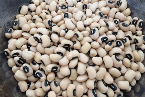 Ăn thường xuyên thực phẩm này bạn không lo thiếu canxi