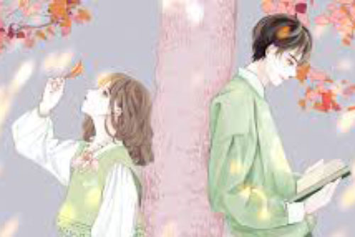 Đến nhà tôi chơi, người yêu đi quan sát khắp nơi rồi buông ra những câu đắng lòng