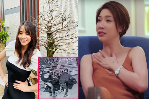 Hải Băng bị trộm mất cây mai gần 100 triệu và loạt sao Việt gặp vận xui những ngày giáp Tết