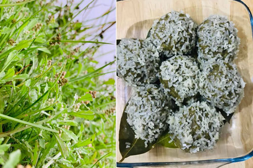 Loài rau dại mọc đầy đồng, ai ngờ lại có thể nấu được món bánh nổi tiếng cực bắt miệng