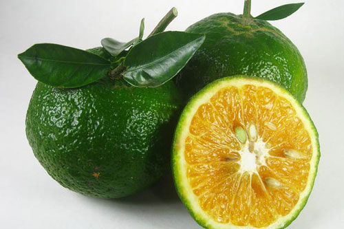 Bạn nên ăn bao nhiêu quả cam một ngày là đủ?