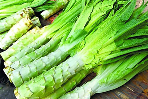 Phụ nữ không muốn nếp nhăn hằn trên mặt, hãy ăn nhiều thực phẩm này để dưỡng âm, bổ phổi, làm đẹp da