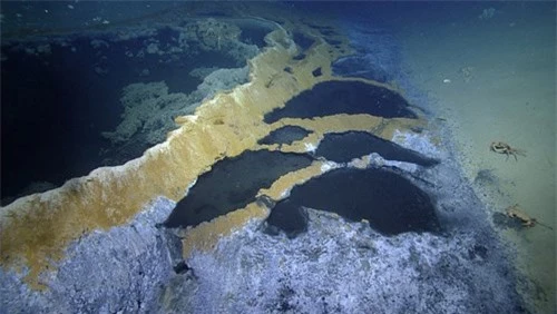 Phát hiện hồ nước 'tử thần' siêu mặn dưới đáy sâu vịnh Mexico - 2