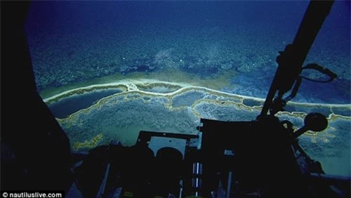 Phát hiện hồ nước 'tử thần' siêu mặn dưới đáy sâu vịnh Mexico - 4