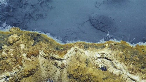 Phát hiện hồ nước 'tử thần' siêu mặn dưới đáy sâu vịnh Mexico - 6
