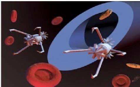 Loài người sẽ trở nên bất tử vào năm 2045