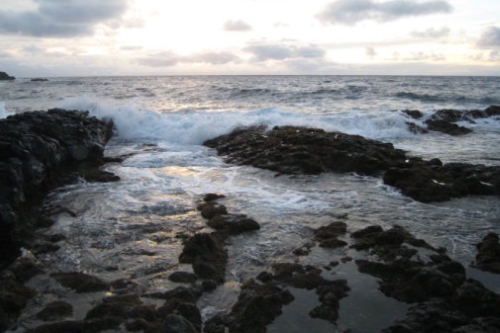 Phát hiện loài vật gây nên biến đổi khí hậu từ hàng triệu năm trước