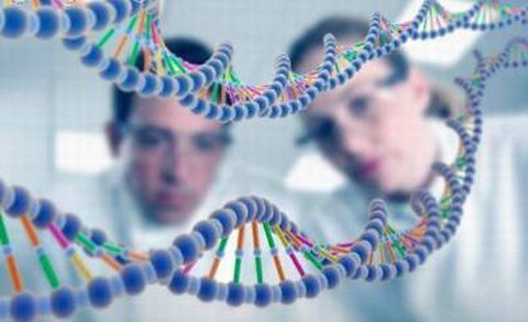 Muốn biết sống thọ bao nhiêu, hãy hỏi… gen