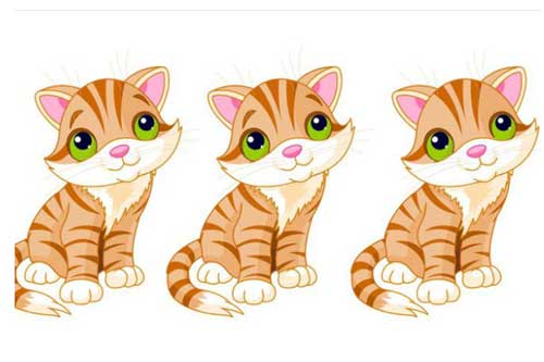 Thách thức thị giác 5 giây: Đố bạn tìm ra con mèo khác 2 con còn lại