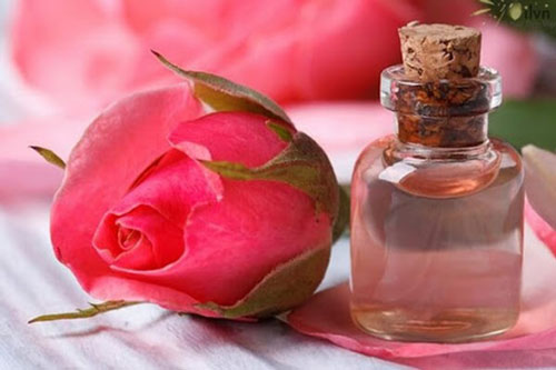 Tươi tắn với mỹ phẩm đơn giản từ các loại hoa mùa xuân