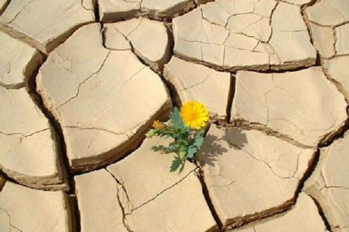 Gặp khó khăn nhớ 7 điều này sẽ tự tin bước tiếp